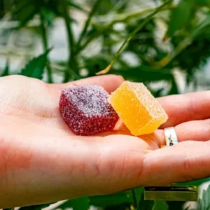 PAIN MANAGEMENT GUMMIES
